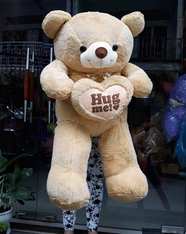 Gấu Teddy Hug me 1m2 nâu nhạt