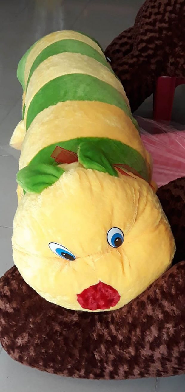 Sâu bông Cần Thơ 4
