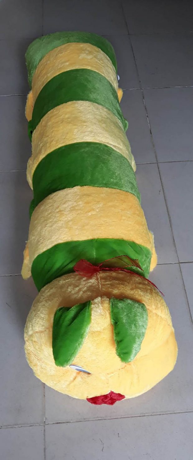 Sâu bông Cần Thơ 5