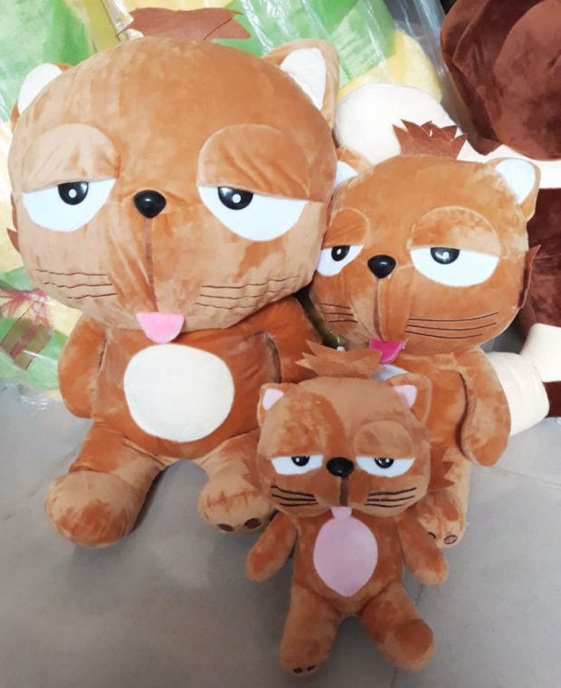 Mèo Dinga tại Shop Gấu Bông Cần Thơ