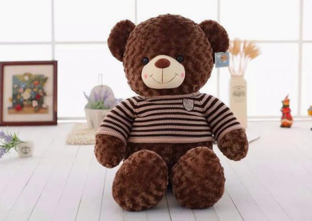 Gấu Teddy Socola - Shop Gấu Bông Cần Thơ