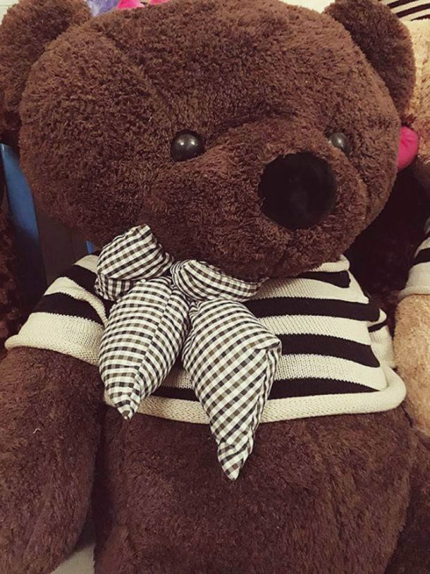Gấu Teddy lông xù cao cấp màu nâu - Gấu Bông Cần Thơ