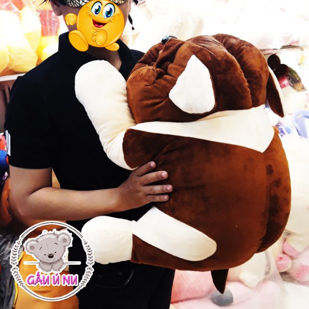 Chó bông mặt xệ - Chó Pug